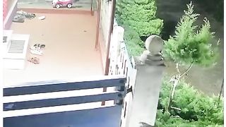 Wayanad വടുവൻചാൽ നീലിമലയിൽ കാട്ടുപോത്തിറങ്ങി _ buffalo _ N18S _ #shorts.mp