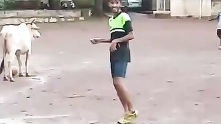 The Expert Cow