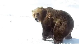 #funny