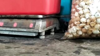 caught a thief camera during the day