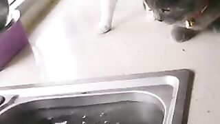 #funny
