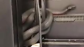 #funny