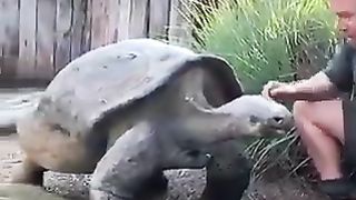 #funny