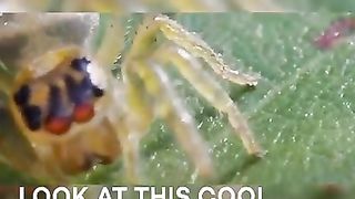 #funny