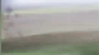 বুনো হাতির তাণ্ডব