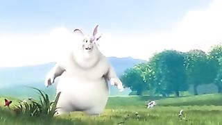 Bunny