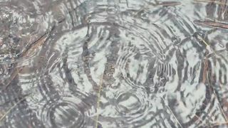 Drops of water