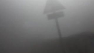 Fogggg