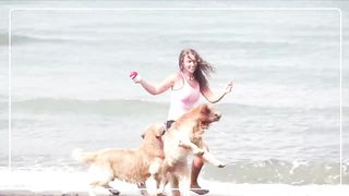dogs training video 2