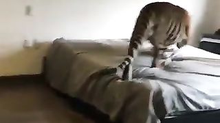 Funny