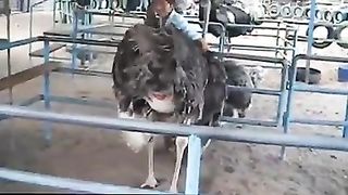 Funny