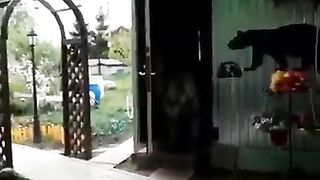 Funny