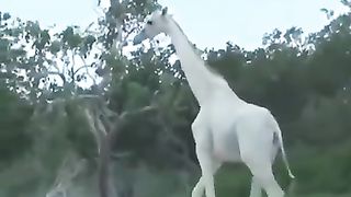 Funny