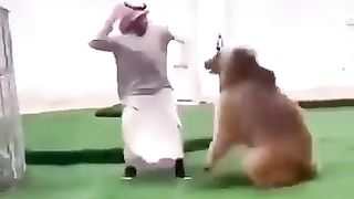 Funny