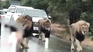 Funny