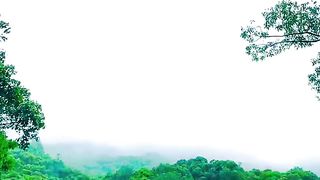 Green scenery in Tawangmangu, Indonesia