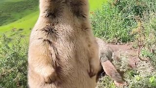 Amazing video...