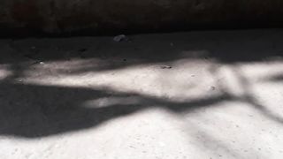 Sunnn