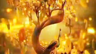 Amazing animations