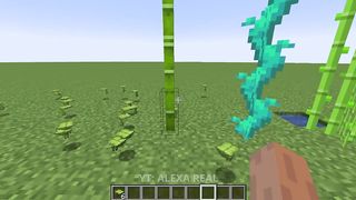 this video will satisfy you