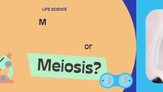 mitosis or meiosis.