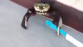 Funny
