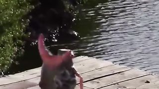 Marmaid real or fake