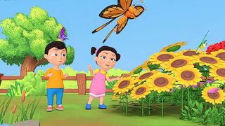 Butterfly Oh Butterfly Baby Nursery Rhymes