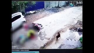 Stray dogs attack on two people going on scooter in Jalandhar, India