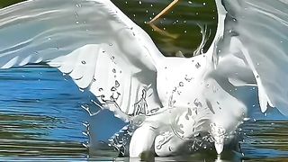 Nice video