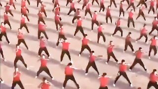 Amazing videos