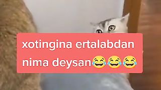 Xotiniga ertalabdan nima deysan ????????