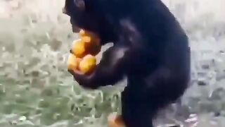 Бир ҳафтадан кейин ишдан кетиши аниқ бўлган раҳбар...