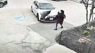 Geese attack humans