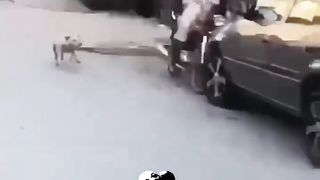The End ???????? #funny #fails