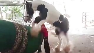 The guy almost got into serious trouble