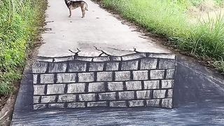 Nice video