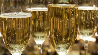 Pan shot of several glasses with bubbly champagne