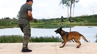 Man and a Dog