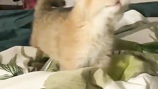 He tried to kill me!