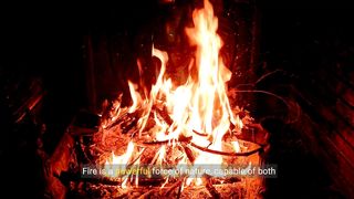 Facts About Fire