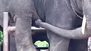 WHATS HE DOING?