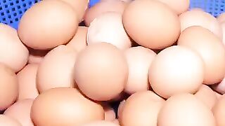 Cooking 41