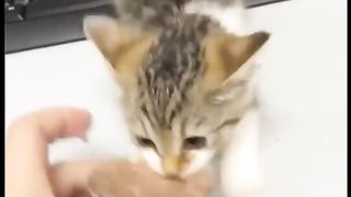 Funny video :)