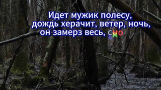 Идет мужик полесу,  дождь херачит, ветер, ночь