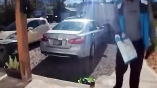Funny videos with animals