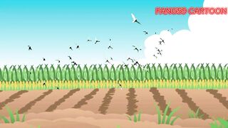 দুই ইঁদুরের গল্প