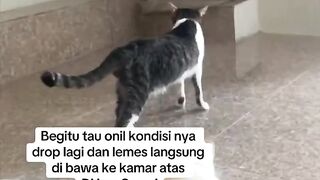 Di dengar dan di baca baik baik videonya ya