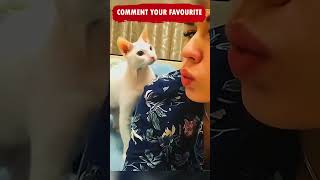 Funniest Cats and Dogs Shorts compilation ???????????? Try Not to Laugh Challenge Caught on Camera Tik