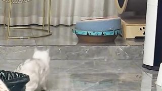 Реакция